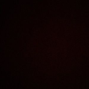 Meet your Posher, Shae